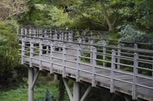 【山系野遊】愜意到不行的林梢步道