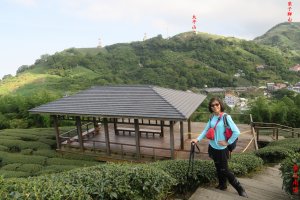 雲嘉連峰8字型走：龜山、獨立山、阿拔泉山、觀音石山、紅南坑山、大巃頂