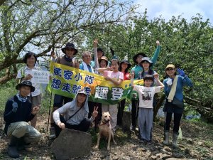 高雄三白連走，小百岳白雲山.(白雲山主峰與西、北廍亭山)~賞花秘境