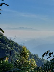 溪頭之鳳凰主南叉路口往台演山途中約1690m北眺日月潭