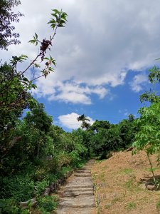 【冷門步道尋寶任務】鳥語花香的郵政訓練所步道