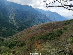 【苗栗。泰安】手腳並用之虎山行。 水雲三星~虎山步道