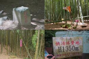 鹿谷溪頭四秀O型縱走真有趣