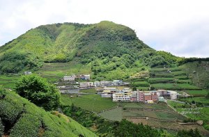 【嘉義】爬上大象的背脊.走進不見天竹林--楓樹湖觀日落平台步道