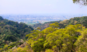 台中聚興山，新田登山步道，后豐鐵馬道，東豐自行車綠廊
