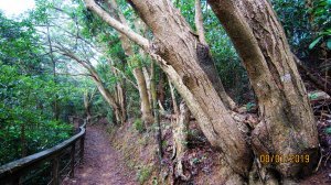 石光古道 - 客庄風情 橘黃 菜包飄香 ...