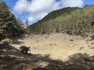 2025/1/27~2/2 霧鹿+卑東段出轆轆溫泉