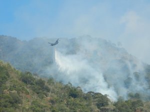 【新聞】兩水庫幫忙 林務空勤航特順利撲滅森林火警