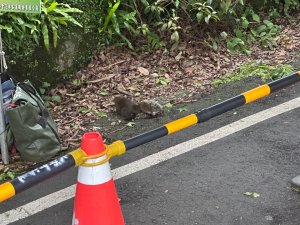 臺北大縱走第三四段