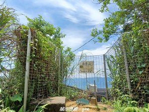 【台北信義】搭捷運爬山趣。 小百岳集起來。編號13小百岳-南港山