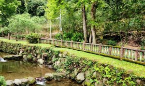 140高地公園，枹子腳山，小坑溪文學步道（清溪綠地），小坑老樹公園，小坑一號公園