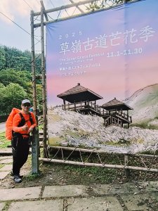 草嶺古道2025 芒花季