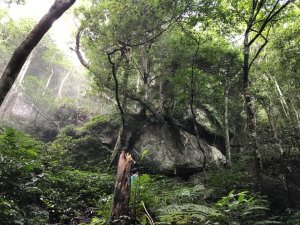 好山好水油羅山