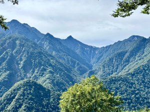 新中橫看玉山 首訪鹿林神木
