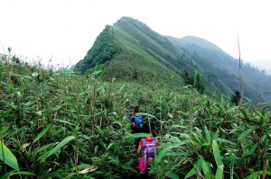 小觀音山主峰下竿尾崙