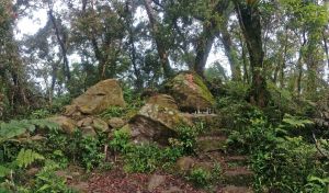 走在熱帶雨林風格的都蘭山