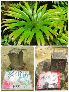 指南宮-猴山岳-砲子崙瀑布-深坑老街