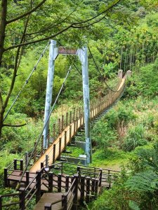 古坑華山小天梯、情人橋