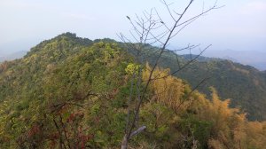 月茶縱走(東向西行)-茶青角山走月光山