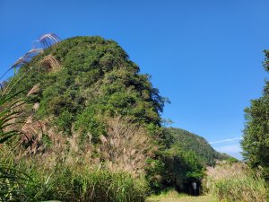 廣興獅仔頭山(小百岳）賞新店當藥花