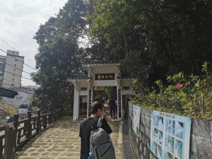 土城桐花公園-承天禪寺-火焰山步道