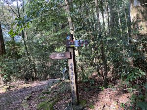1131013大小雪山森林步道
