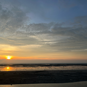 月巴女敕的頭像