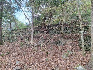 雪見駐在所+雪見山20251225