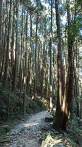 心之所向身之所往∥橫嶺山自然步道，橫嶺山
