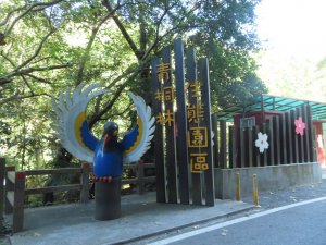 青桐林生態園區北坑溪步道+樟樹林步道8字形走