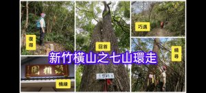 新竹橫山，七山環走(一泥一坑兩肚三窩)