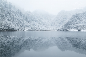 【攝野紀】夢幻般的雪中松蘿湖