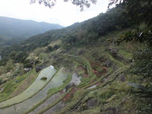 鵝尾山、清風亭、大崎頭步道小O型