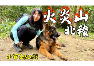 火炎山北稜P形路線/賞櫻秘境櫻花大道/百年茄苳樹/苗栗苑裡