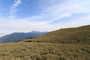 【山系野遊】遠得要命王國-合歡西峰