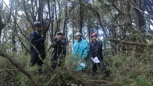 扁柏神殿接喀拉業北稜訪二秀，留守人是山下神隊友