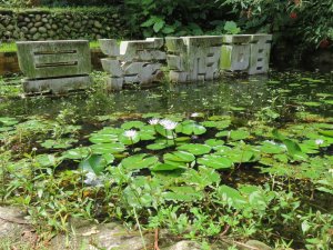 旱溪源頭自然生態區