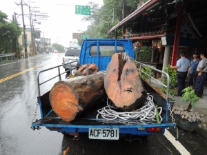 【新聞】颱風過後撿拾漂流木 小心觸法