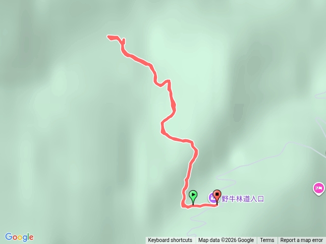 野牛林道南向北至溪流折返