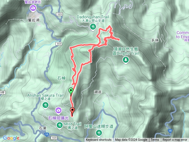 20241228茶之道-霹靂山-大棟山