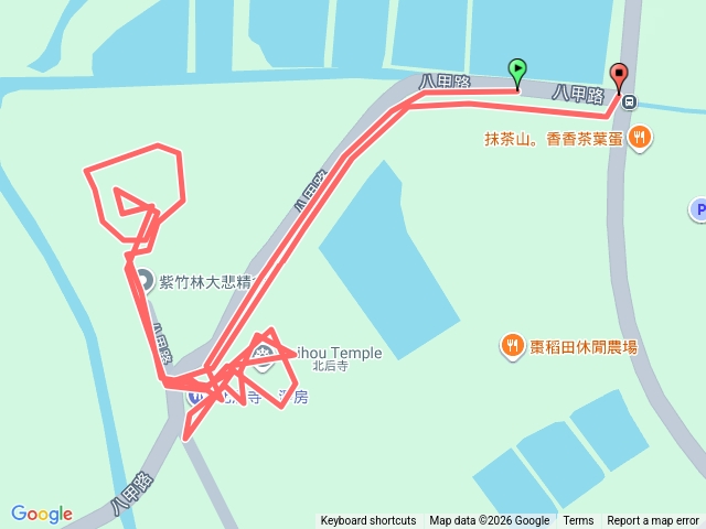 落羽松季_北后寺.