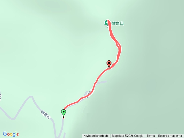 鯉魚山(最速路線,開車到停車場走路到三角點5分鐘)預覽圖
