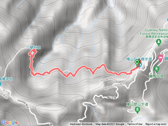211127檜山巨木群