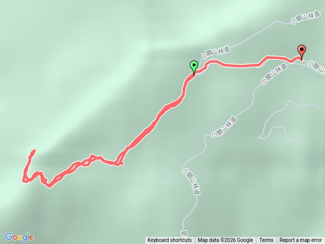 2026-02-28留佐屯山(高雄市桃源區)