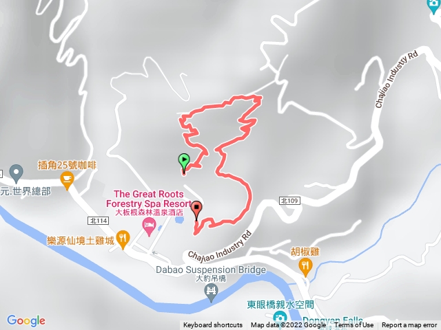 大板根