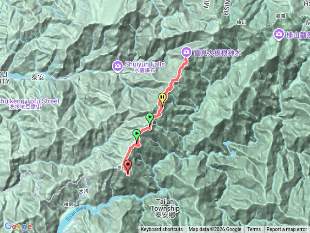 芳嘻的大板根預覽圖