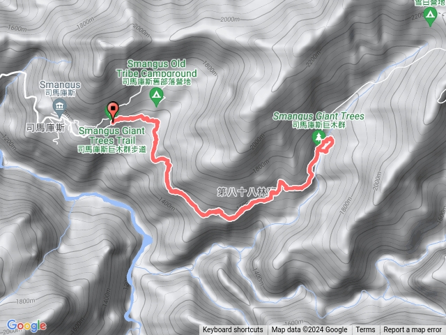 司馬庫斯神木群步道（來回10KM）