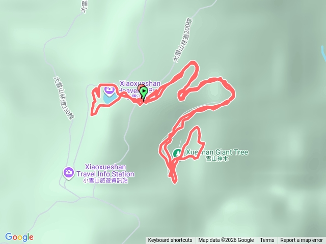 雪山神木步道-小雪山天池步道預覽圖
