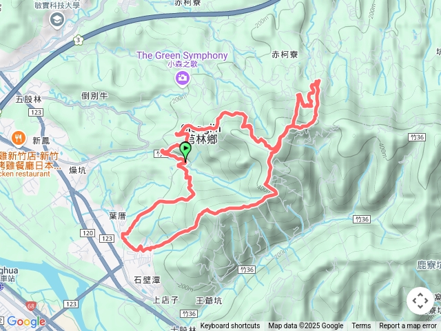 飛鳳山中坑山板根樹