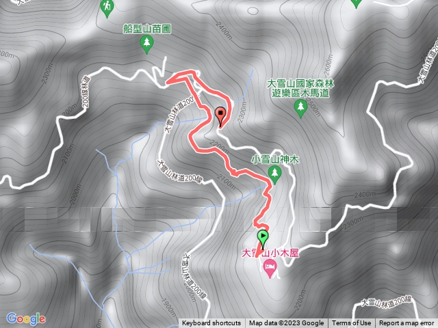 大雪山小神木步道，欸我們有看到山羌